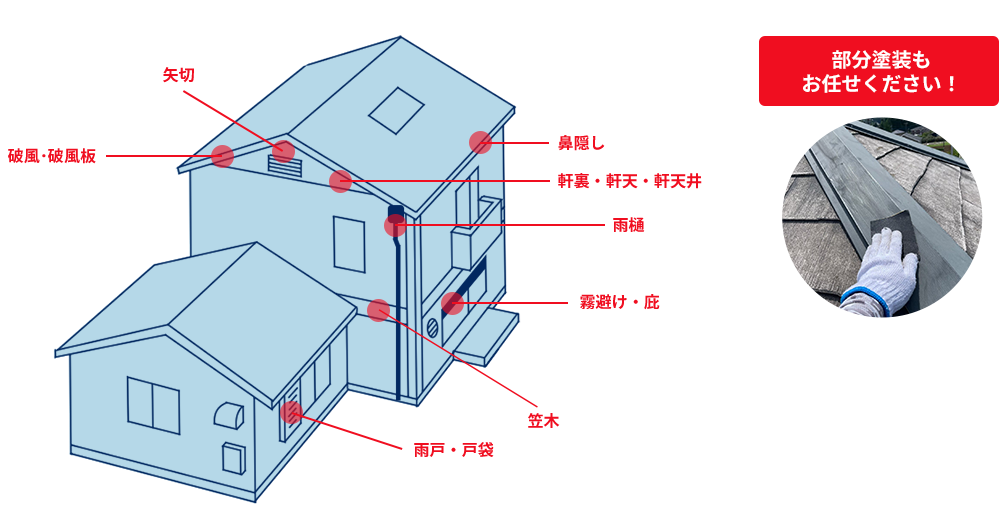 塗装オプション
