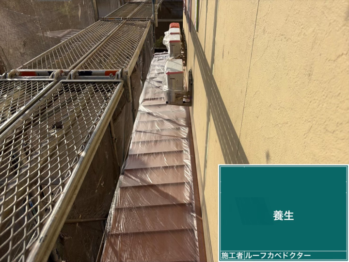養生